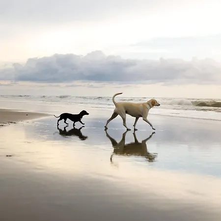 Sunrise View Dom wakacyjny