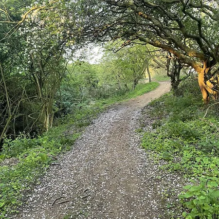 Dom wakacyjny Sunrise View *